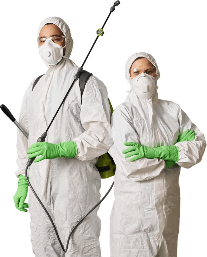 pest control near me