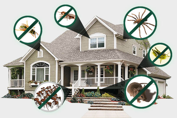 pest control services