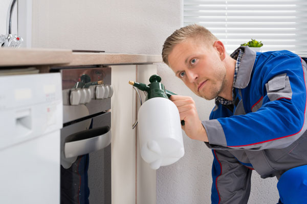 commercial pest control