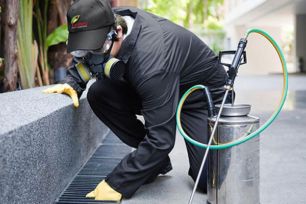 pest prevention near me