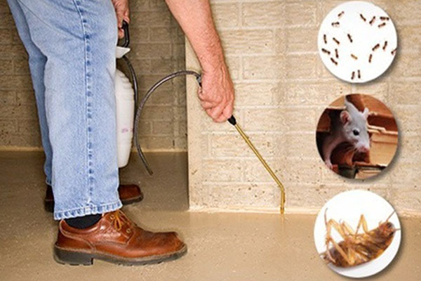 general pest control