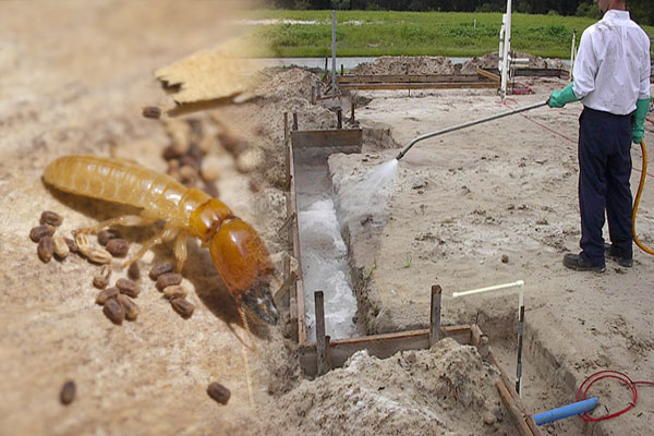 anti-termite solutions